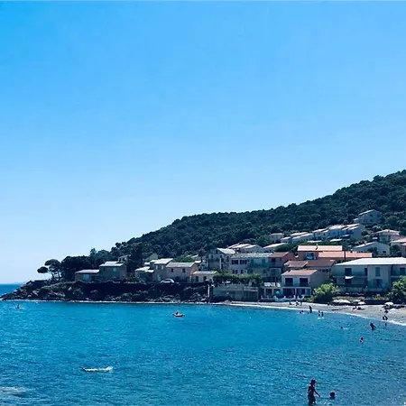 公寓 La Marine De Miomo Vue Mer A 500m De La Plage De Miomo